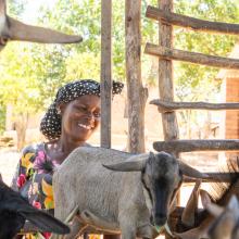 Animal Husbandry; beneficiary of goat Seed Program